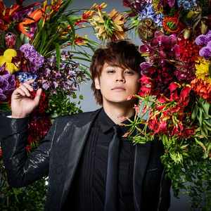 蒙古姑娘高清MV
