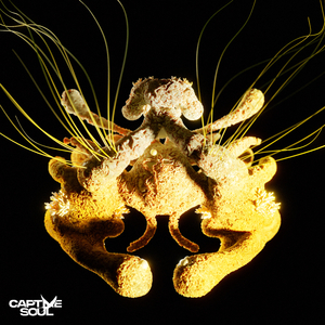 蒙古姑娘高清MV
