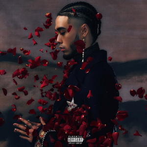 蒙古姑娘高清MV
