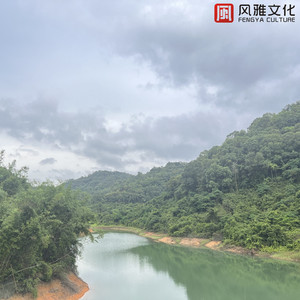 蒙古姑娘高清MV
